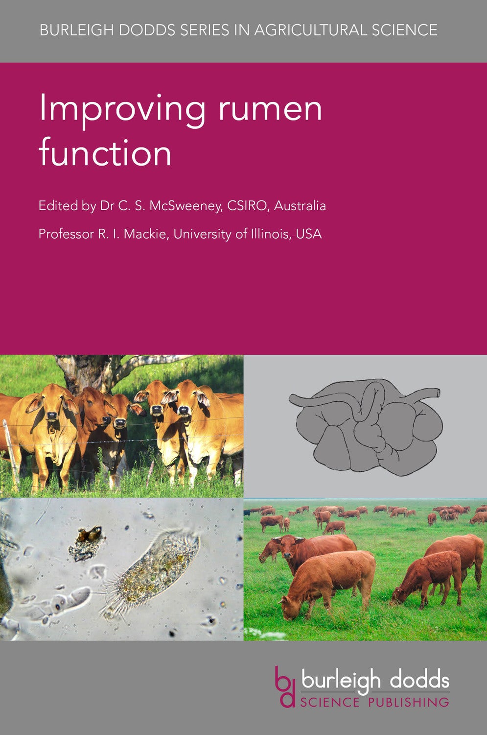 Book cover image for Improving rumen function ISBN: 9781786763358